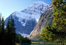 B体育vip注册-关于绿色军团绿草如火，以不变应万变的信息