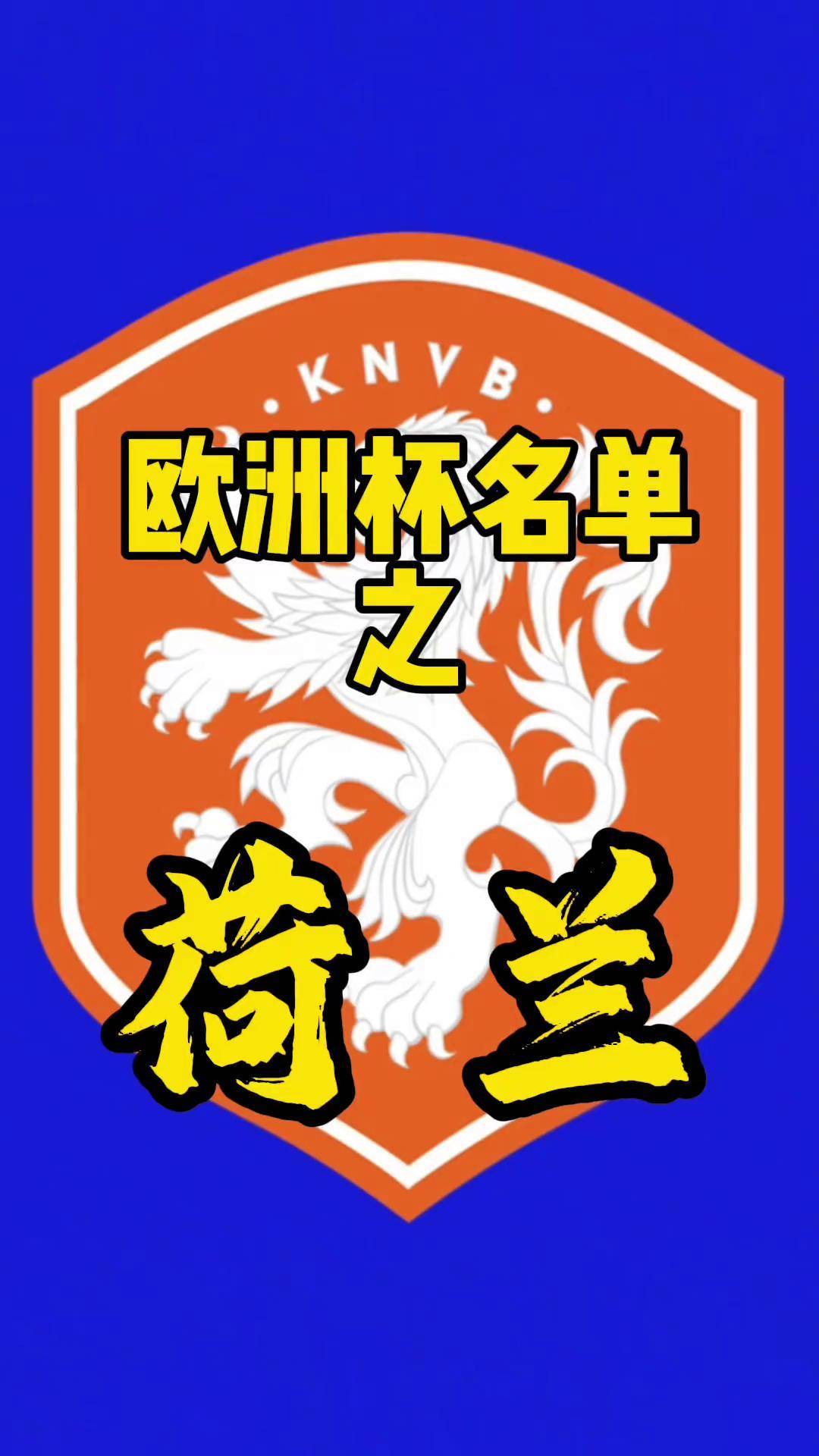 包含荷兰队将壮大班底备战欧洲杯资格赛的词条 包含荷兰队将壮大班底备战欧洲杯资格赛的词条